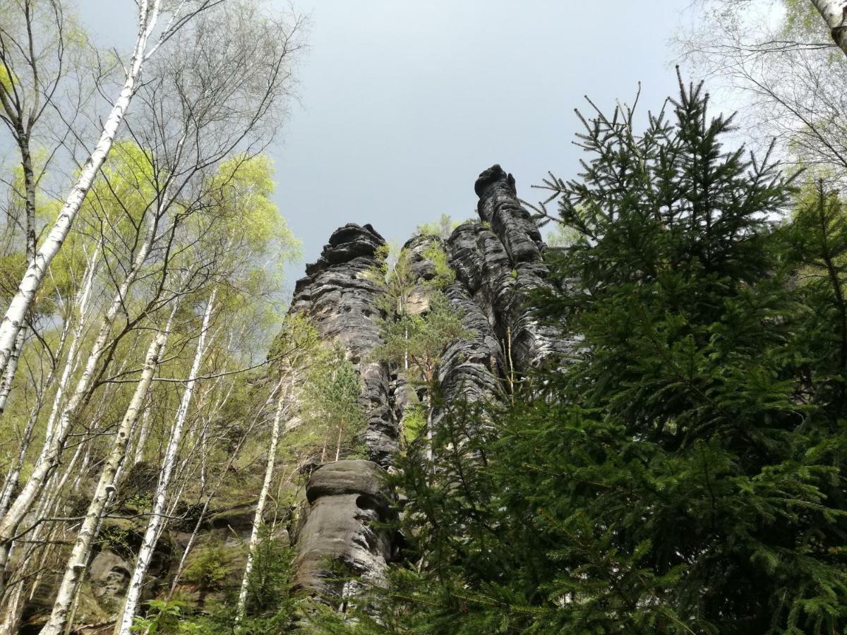Gartenhaus Klotzsche Дрезден Экстерьер фото